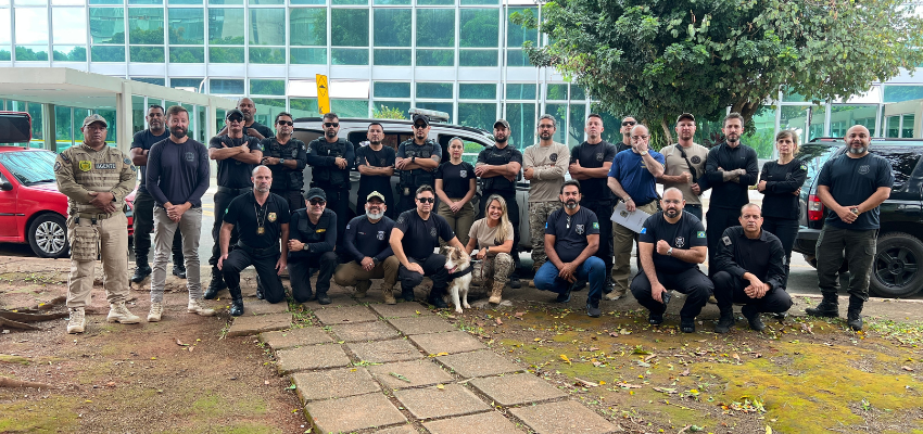 Resistência à Resolução 252 do CONANDA Apoie os PDLs 38424 e 36324! (1)